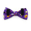 Personalized Halloween Dog Collars