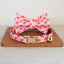 Christmas Adjustable Personalized Cat Collar With Removable Bell