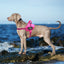 Waterproof Adjustable Reflective Personalized Custom Dog Harness