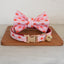 Christmas Adjustable Personalized Cat Collar With Removable Bell