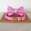 Christmas Adjustable Personalized Cat Collar With Removable Bell