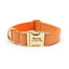 Personalized Leather Dog Collars - Customized Laser Engraved Pet Collar