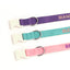 Skin Feeling Leather Cotton with Embroidered Anti-Lost Personalized Dog Collar