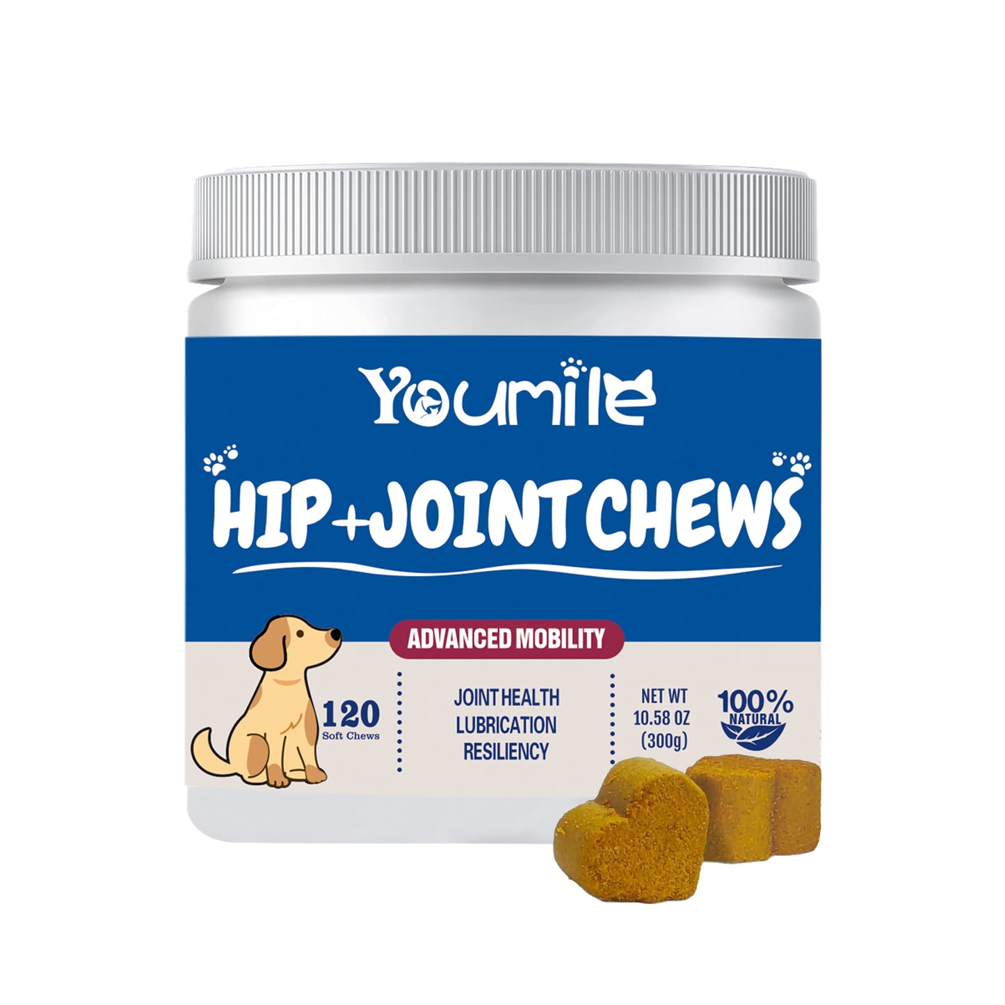 Hip + Joint Soft Chews For Dog