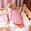 2 PCS Small Dog T Shirts Striped Dog Clothes - iTalkPet