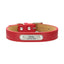 Leather Adjustable Personalized Dog Collar - iTalkPet