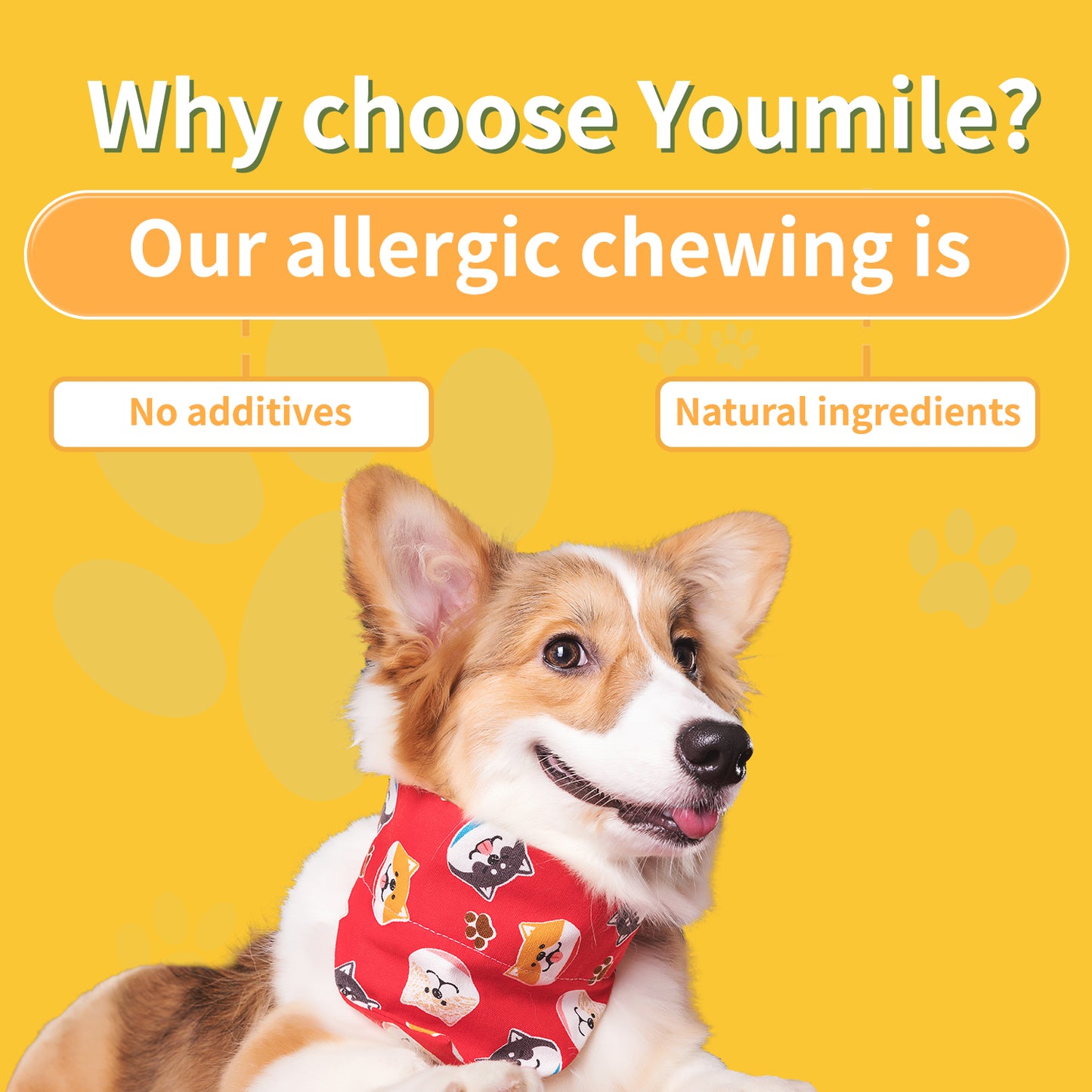 Allergy Soft Chews For Dog