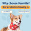 Probiotic Soft Chews For Dogs