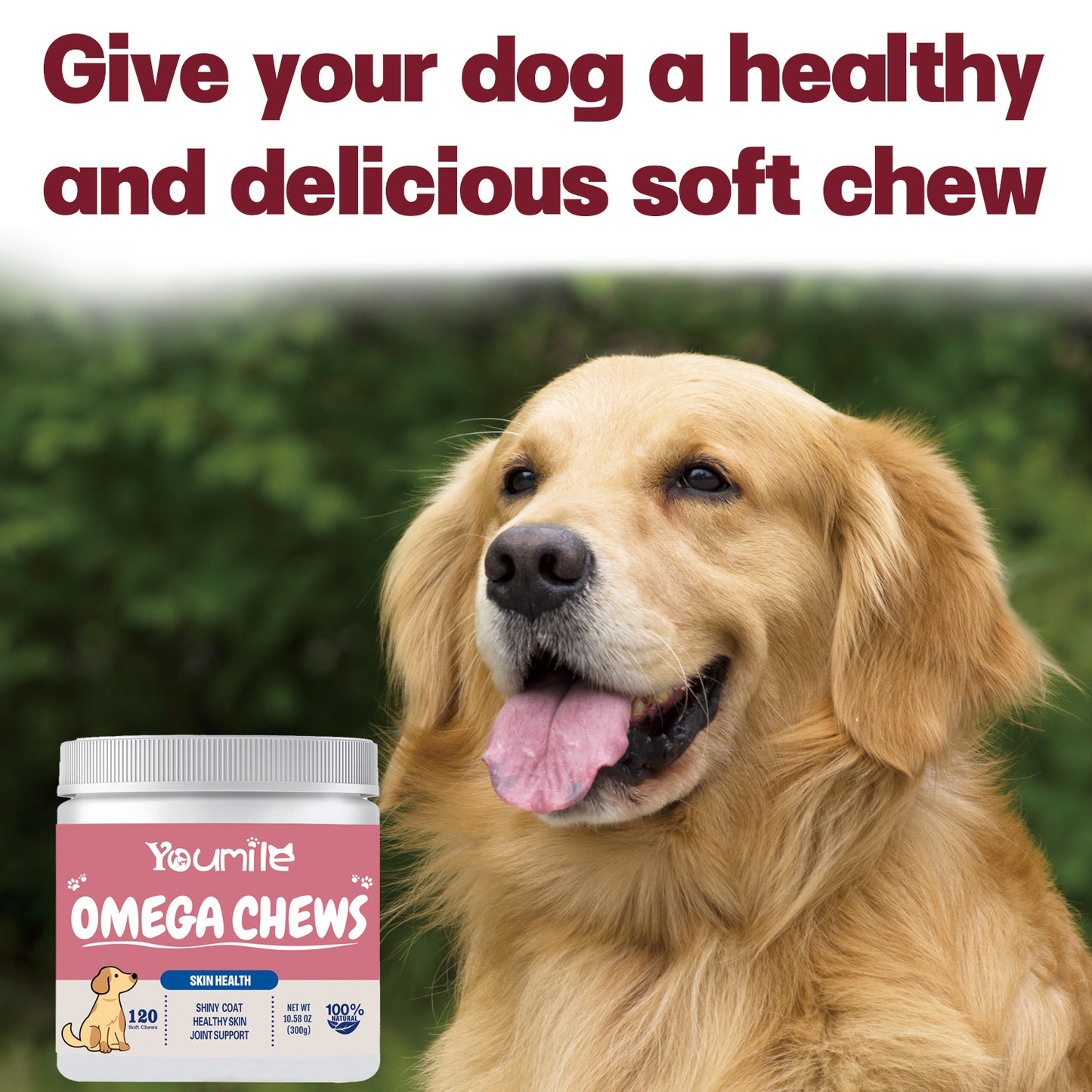 Omega Soft Chews For Dog