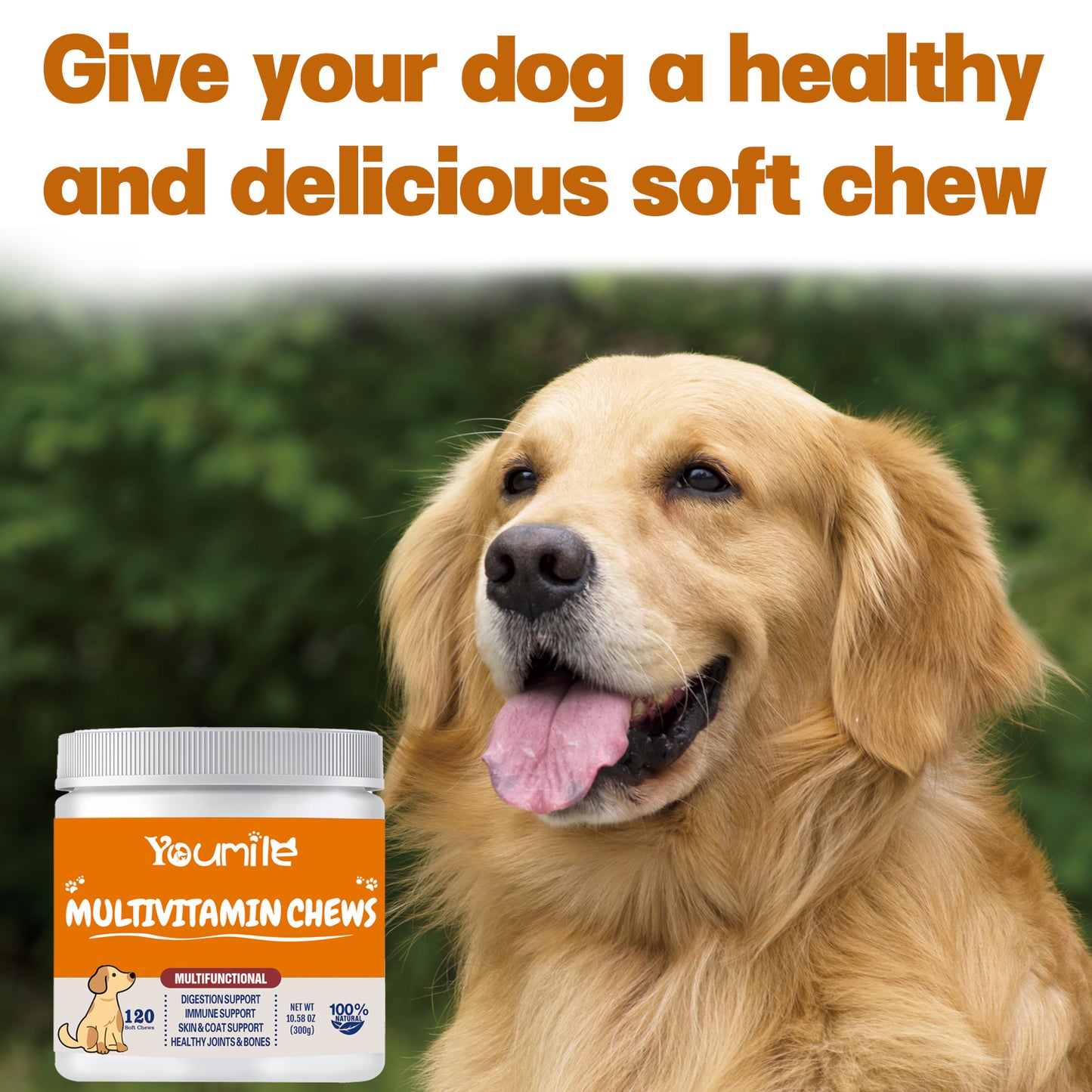 Multivitamin Soft Chews For Dog