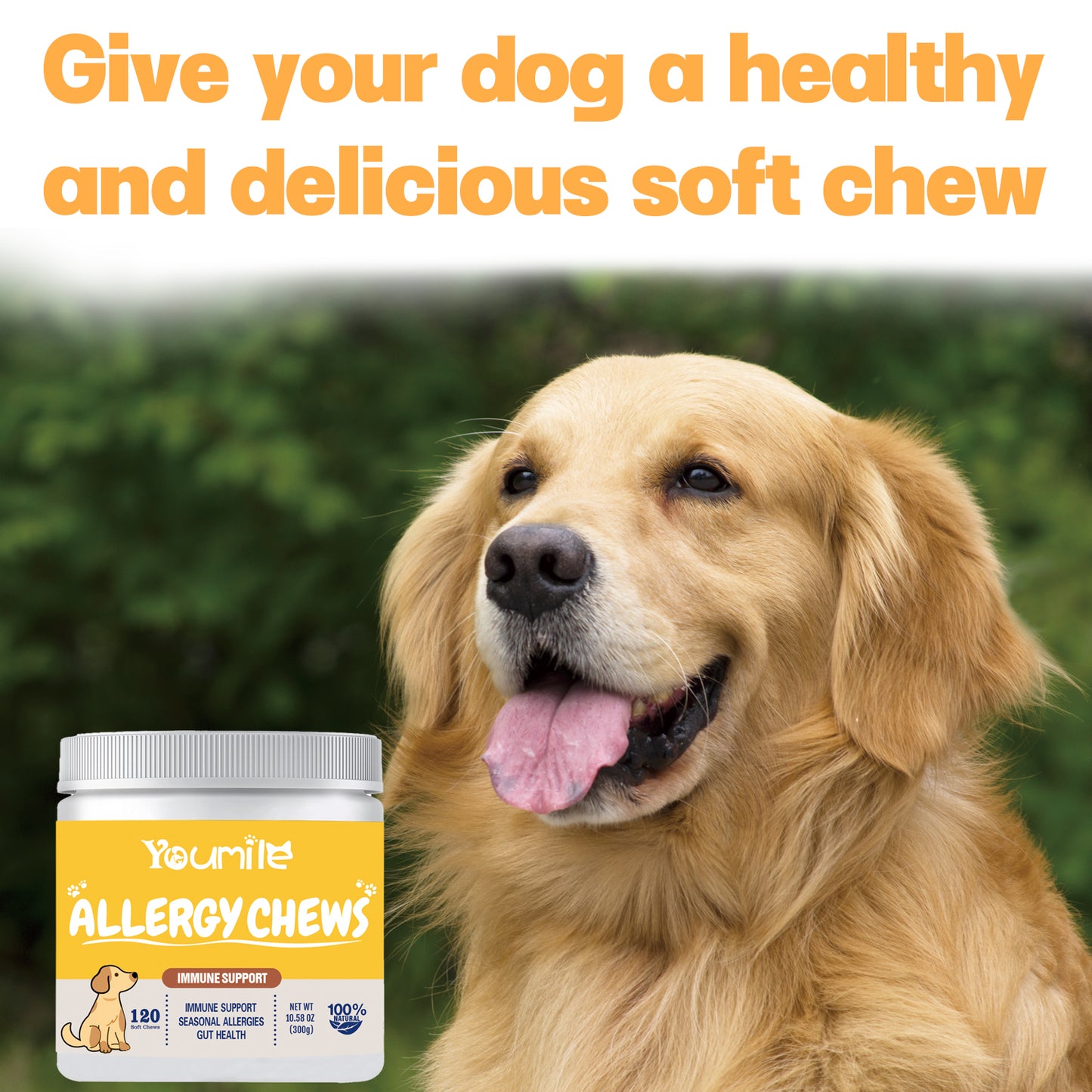 Allergy Soft Chews For Dog