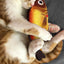 3Pcs Fish Plush Catnip Cat Toy - iTalkPet