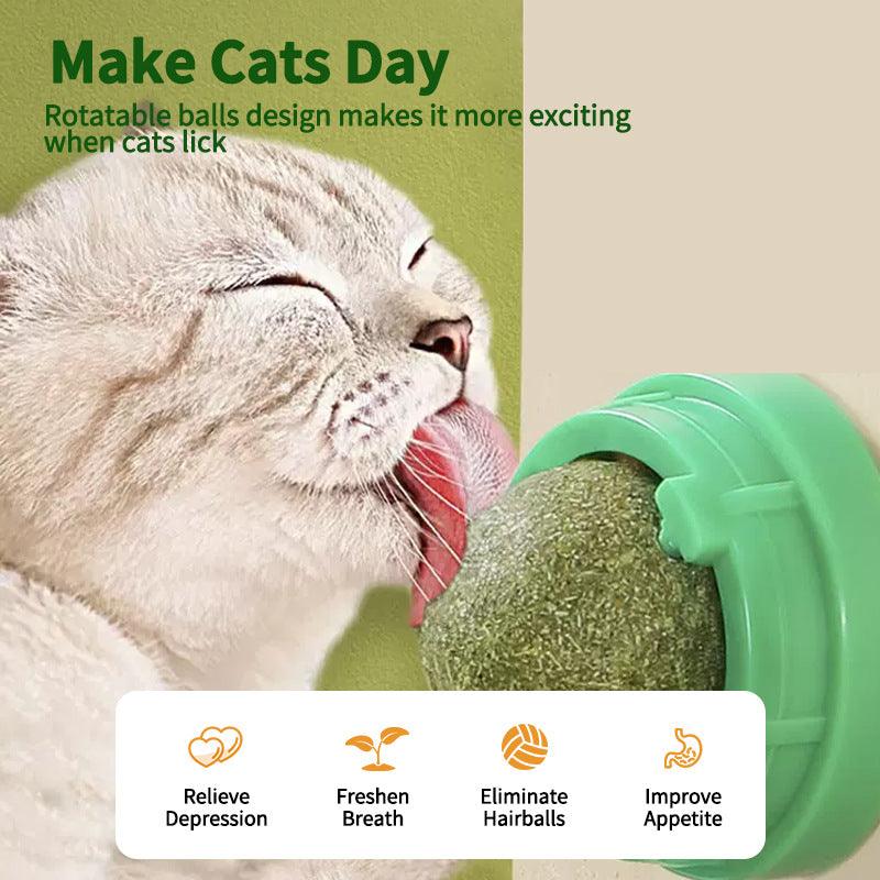 4 Pcs Catnip Cat Toys - Extra Cat Energy Ball - iTalkPet