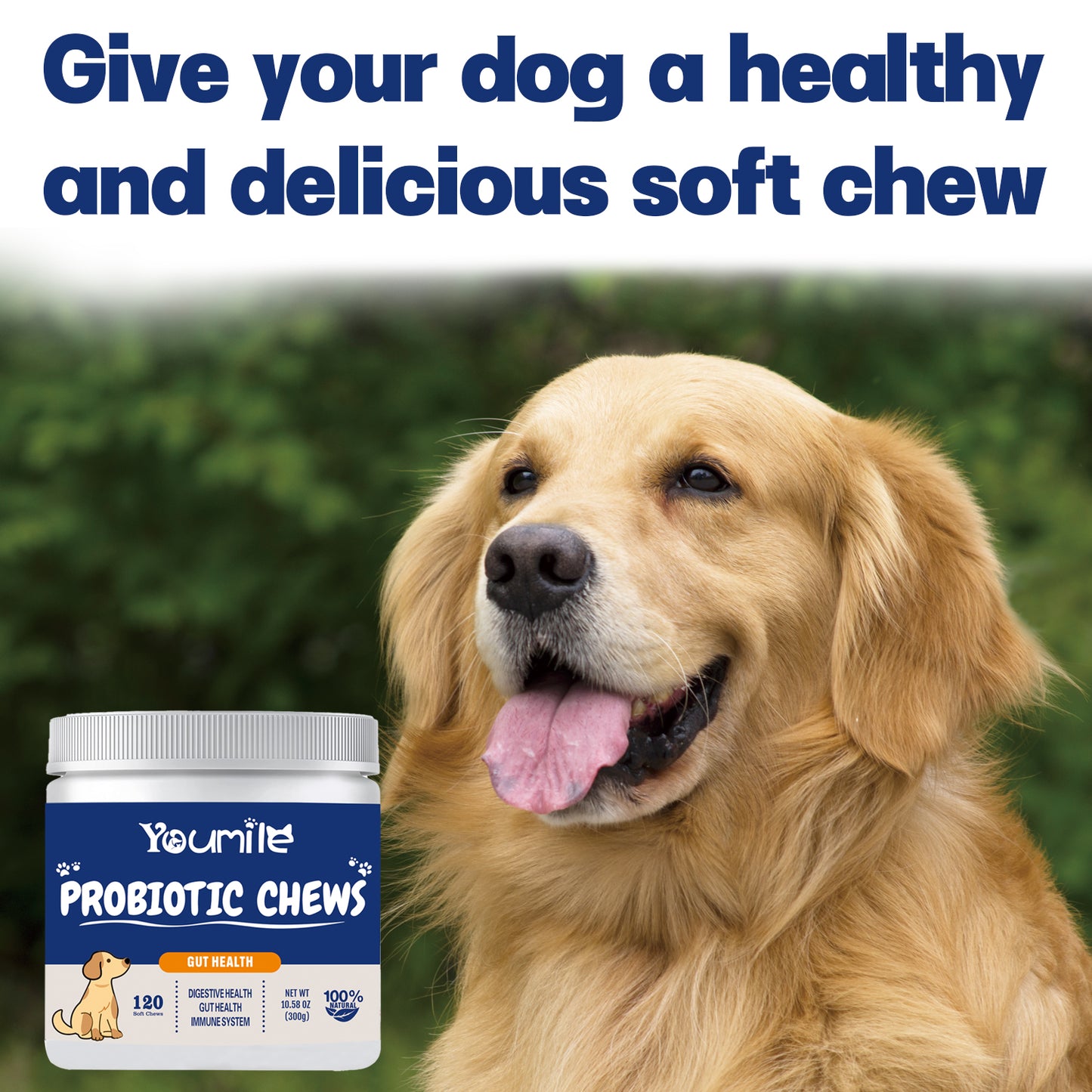 Probiotic Soft Chews For Dogs