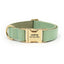 Personalized Leather Dog Collars - Customized Laser Engraved Pet Collar