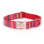 Stripe Modern Adjustable Personalize Dog Collar