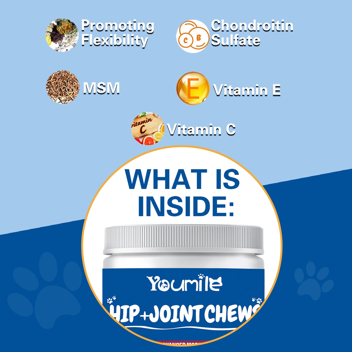 Hip + Joint Soft Chews For Dog