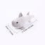 5PCS Cute Catnip Cat Toys - iTalkPet