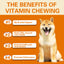 Multivitamin Soft Chews For Dog