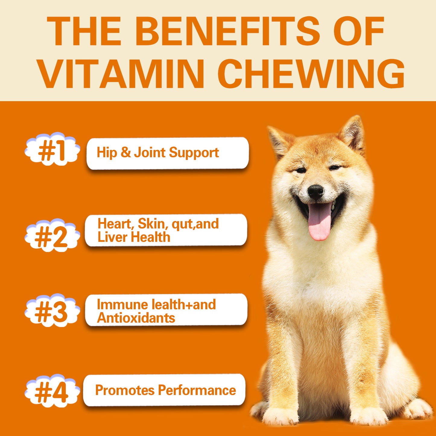 Multivitamin Soft Chews For Dog