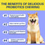 Probiotic Soft Chews For Dogs