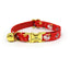 Personalized Christmas Cat Collar with Leash and Bowtie