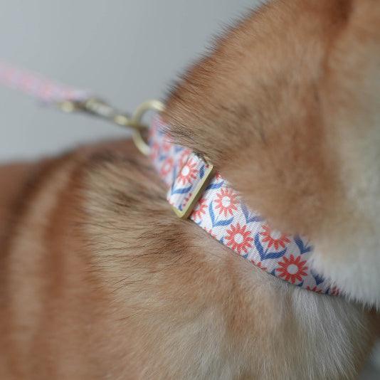 Apricot Daisy Personalized Dog Collar with Leas & Bow tie Set - iTalkPet