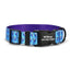 Blue Toucan Personalized Dog Collar with Leas & Bow tie Set - iTalkPet