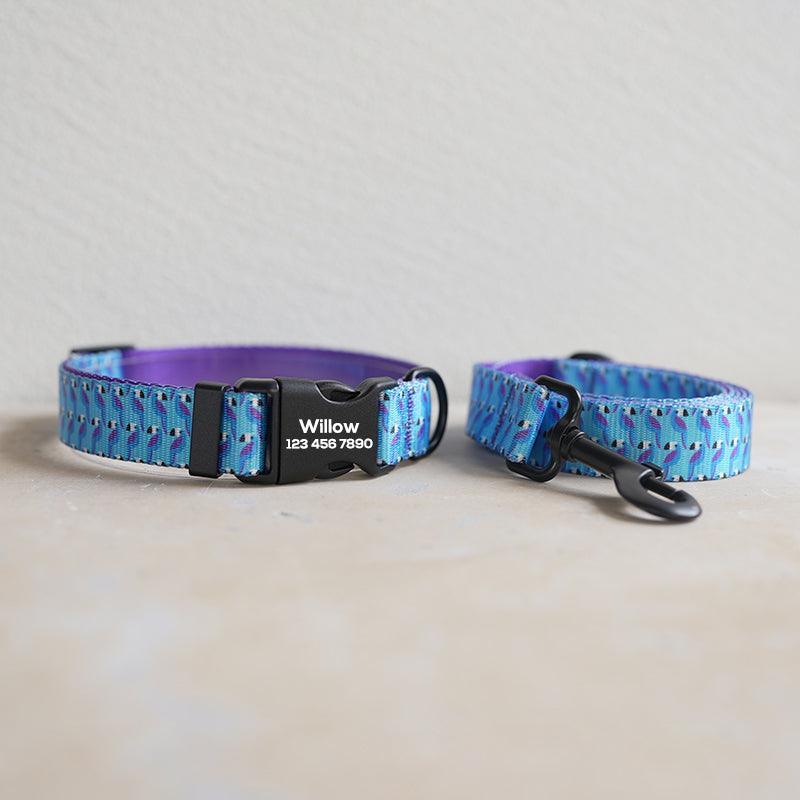 Blue Toucan Personalized Dog Collar with Leas & Bow tie Set - iTalkPet