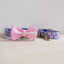 Blue Tulip Personalized Dog Collar with Leas & Bow tie Set - iTalkPet