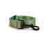 Coins Personalized Dog Collar with Leas & Bow tie Set - iTalkPet