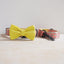 Golden Autumn Personalized Dog Collar with Leas & Bow tie Set - iTalkPet