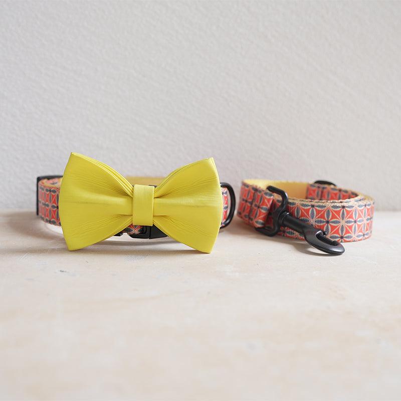 Golden Autumn Personalized Dog Collar with Leas & Bow tie Set - iTalkPet