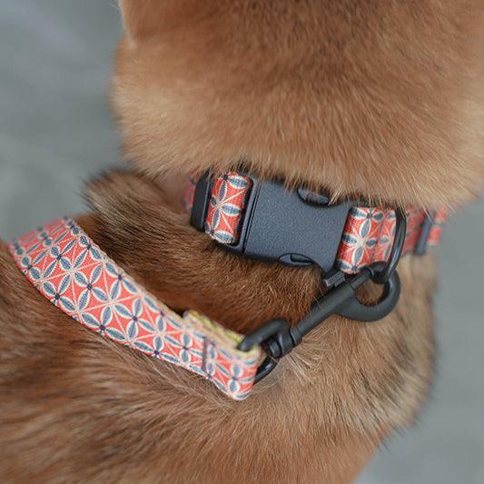 Golden Autumn Personalized Dog Collar with Leas & Bow tie Set - iTalkPet