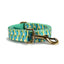 Green Parrot Personalized Dog Collar with Leas & Bow tie Set - iTalkPet