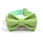 Green Stripe Velvet Personalized Dog Collar Leash Harness Bowtie Poop Bag Set - iTalkPet