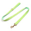 Green Stripe Velvet Personalized Dog Collar Leash Harness Bowtie Poop Bag Set - iTalkPet