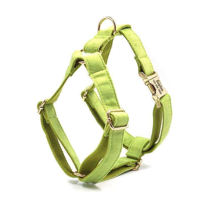 Green Velvet Personalized Dog Collar Leash Harness Bowtie Poop Bag Set - iTalkPet