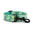 Lemon Personalized Dog Collar with Leas & Bow tie Set - iTalkPet