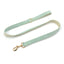 Light Green Velvet Personalized Dog Collar Leash Harness Bowtie Poop Bag Set - iTalkPet