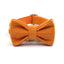 Orange Stripe Velvet Personalized Dog Collar Leash Harness Bowtie Poop Bag Set - iTalkPet