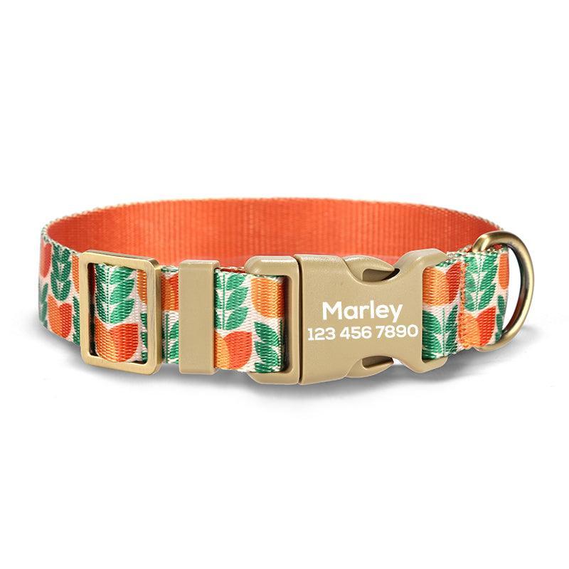 Orange Tulip Personalized Dog Collar with Leas & Bow tie Set - iTalkPet