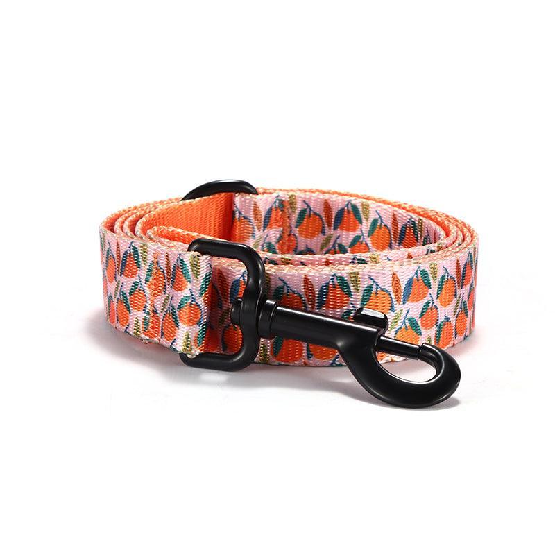 Oranges Personalized Dog Collar with Leas & Bow tie Set - iTalkPet