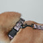 Owls Personalized Dog Collar with Leas & Bow tie Set - iTalkPet
