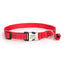 Personalized Cat Collar - Adjustable Reflective Cat Collar with Bell - iTalkPet