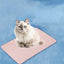 Pet Summer Cooling Bed & Sleeping Mat - iTalkPet