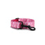 Pink Flaminges Personalized Dog Collar with Leas & Bow tie Set - iTalkPet