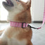 Pink Flaminges Personalized Dog Collar with Leas & Bow tie Set - iTalkPet