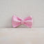 Pink Flaminges Personalized Dog Collar with Leas & Bow tie Set - iTalkPet