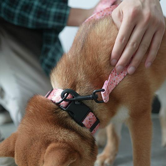 Pink Lily Personalized Dog Collar with Leas & Bow tie Set - iTalkPet